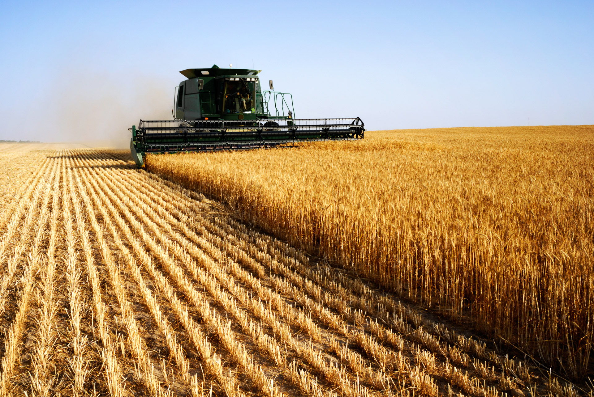 A wheat field using agricultural machinery in Emerald